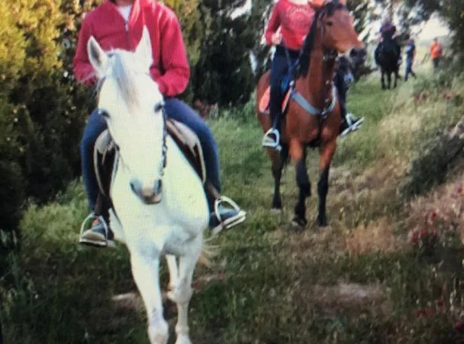 Un Balcone Sul Mare-casa I Carruggi- Sicilia&toscana- Сasa de vacaciones Basicò
